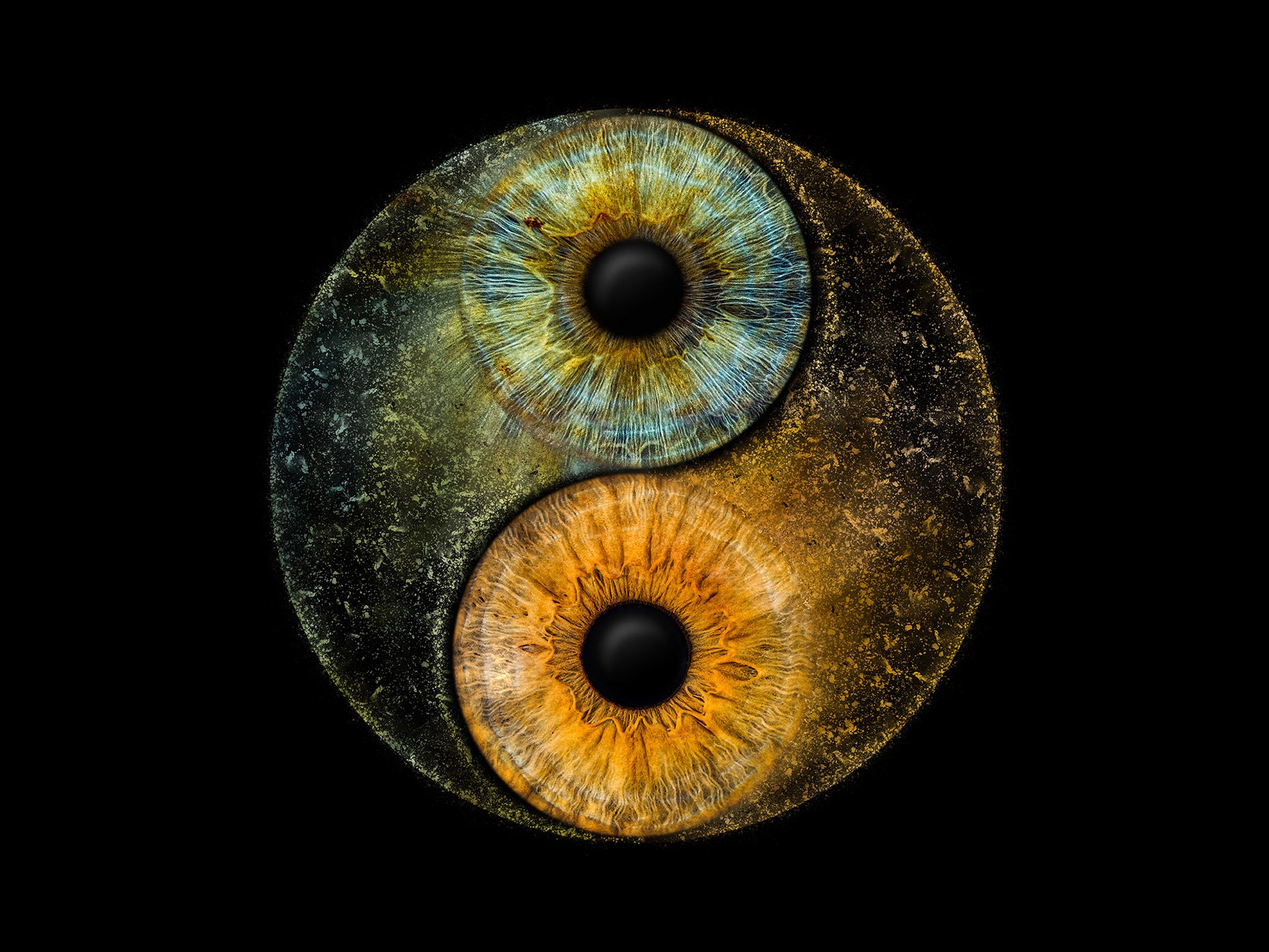 YinYang Motiv mit zwei Irisfotografien