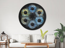 Fusion 6 rund | Gutschein EYEPIXX Iris-Fotografie