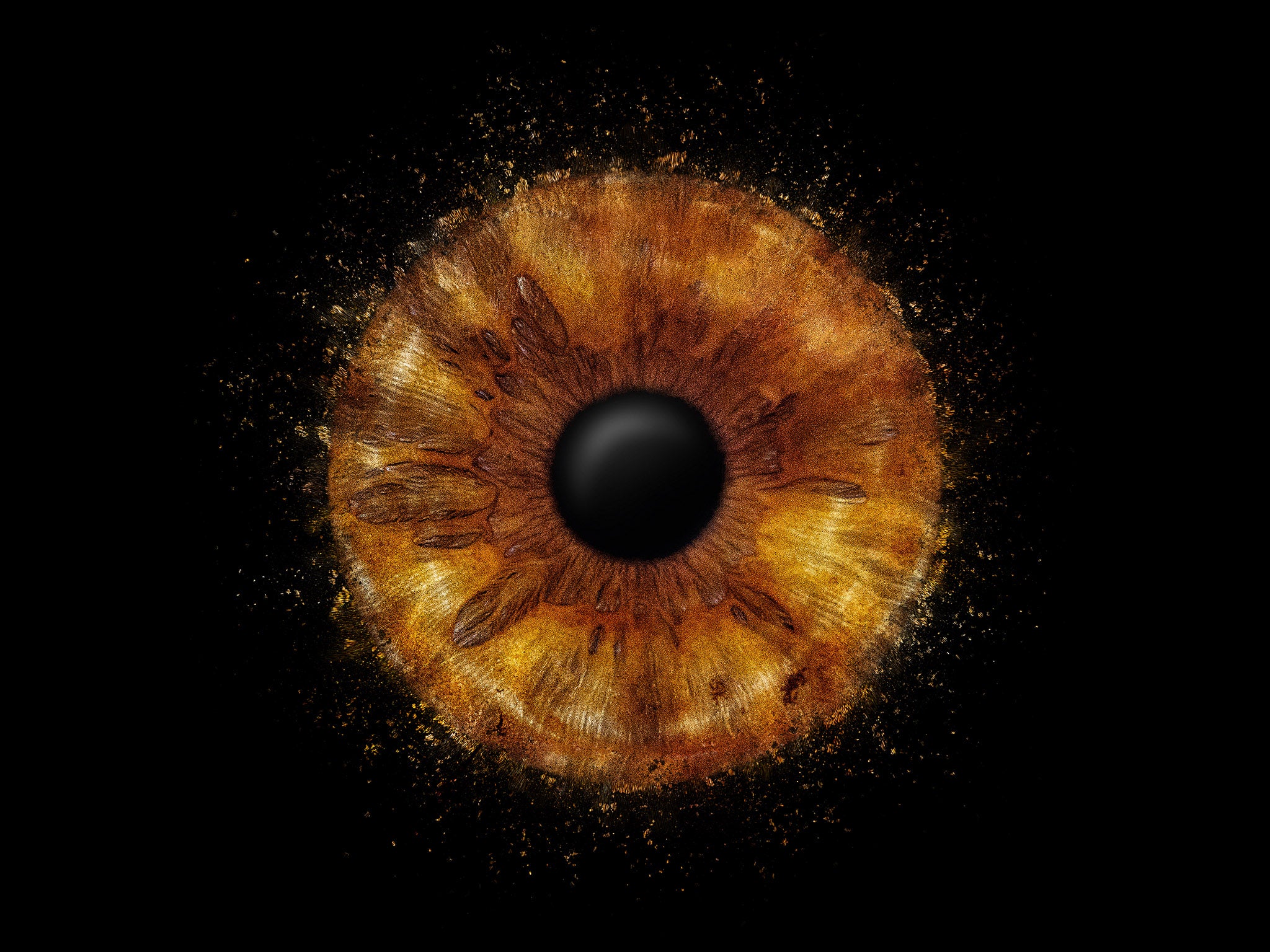 Braune Iris als Einzelfoto mit Splittereffekt