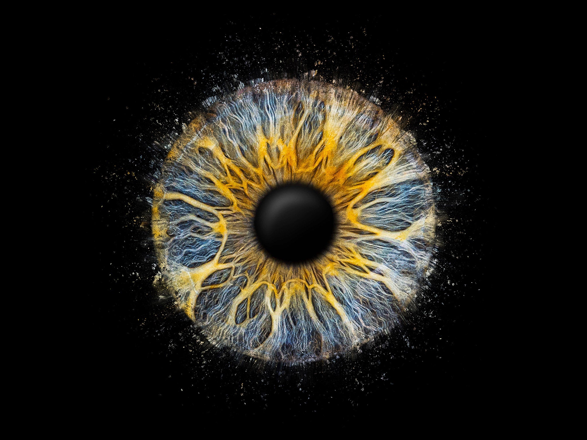 Einzelfoto einer Iris mit Splittereffekt