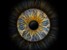 Einzelfoto Wandbild | Gutschein EYEPIXX Iris-Fotografie