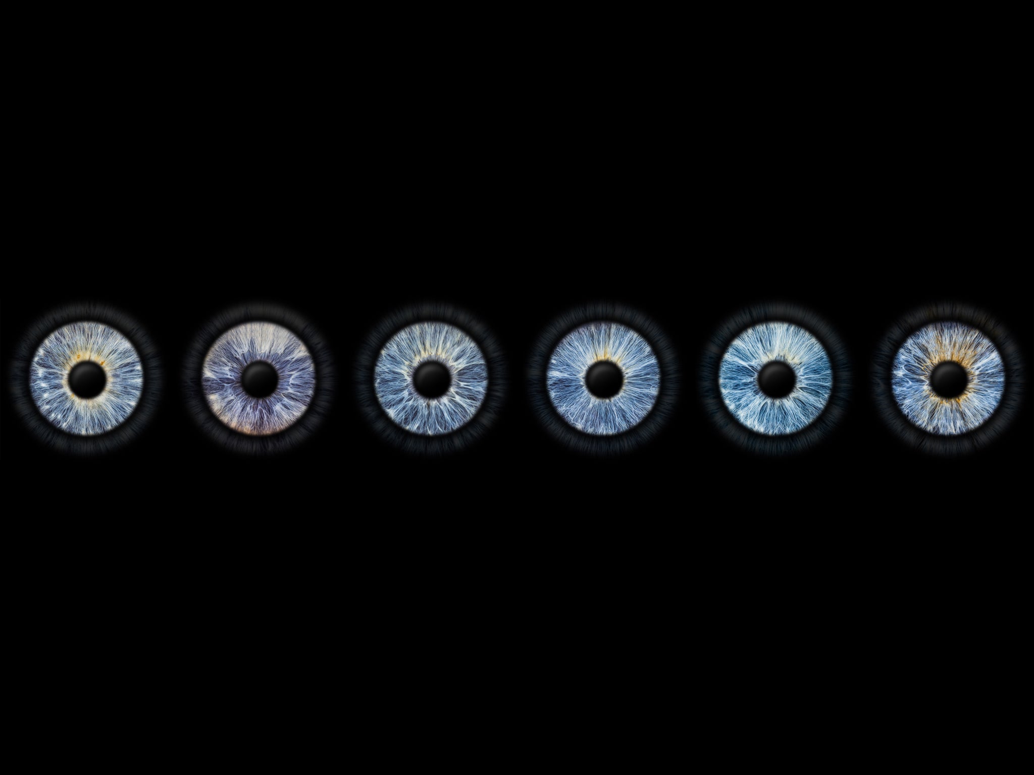 Sechs blaue Iriden nebeneinander auf schwarzem Hintergrund