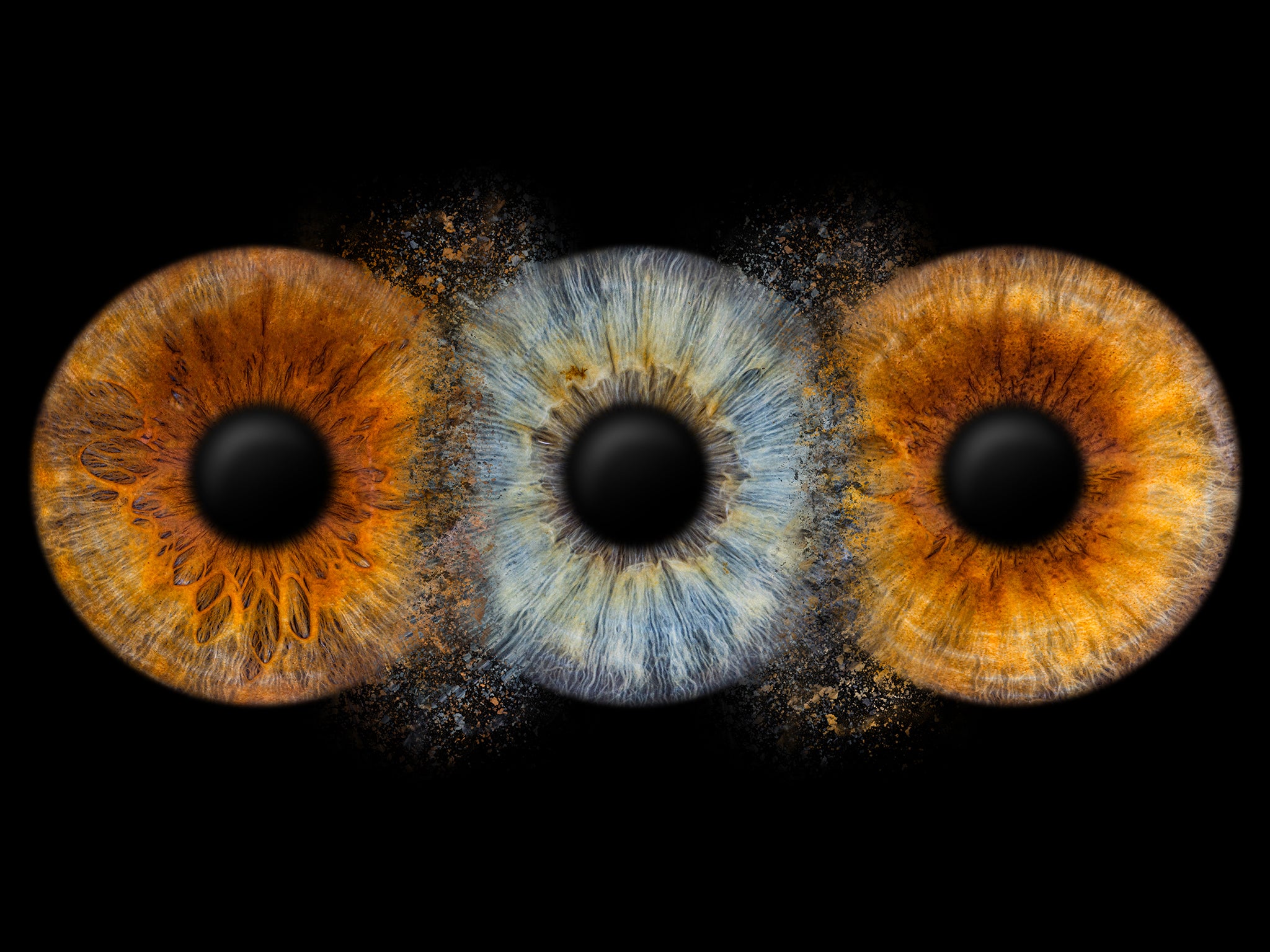 Irisfotografie mit einer Fusion aus drei Iriden