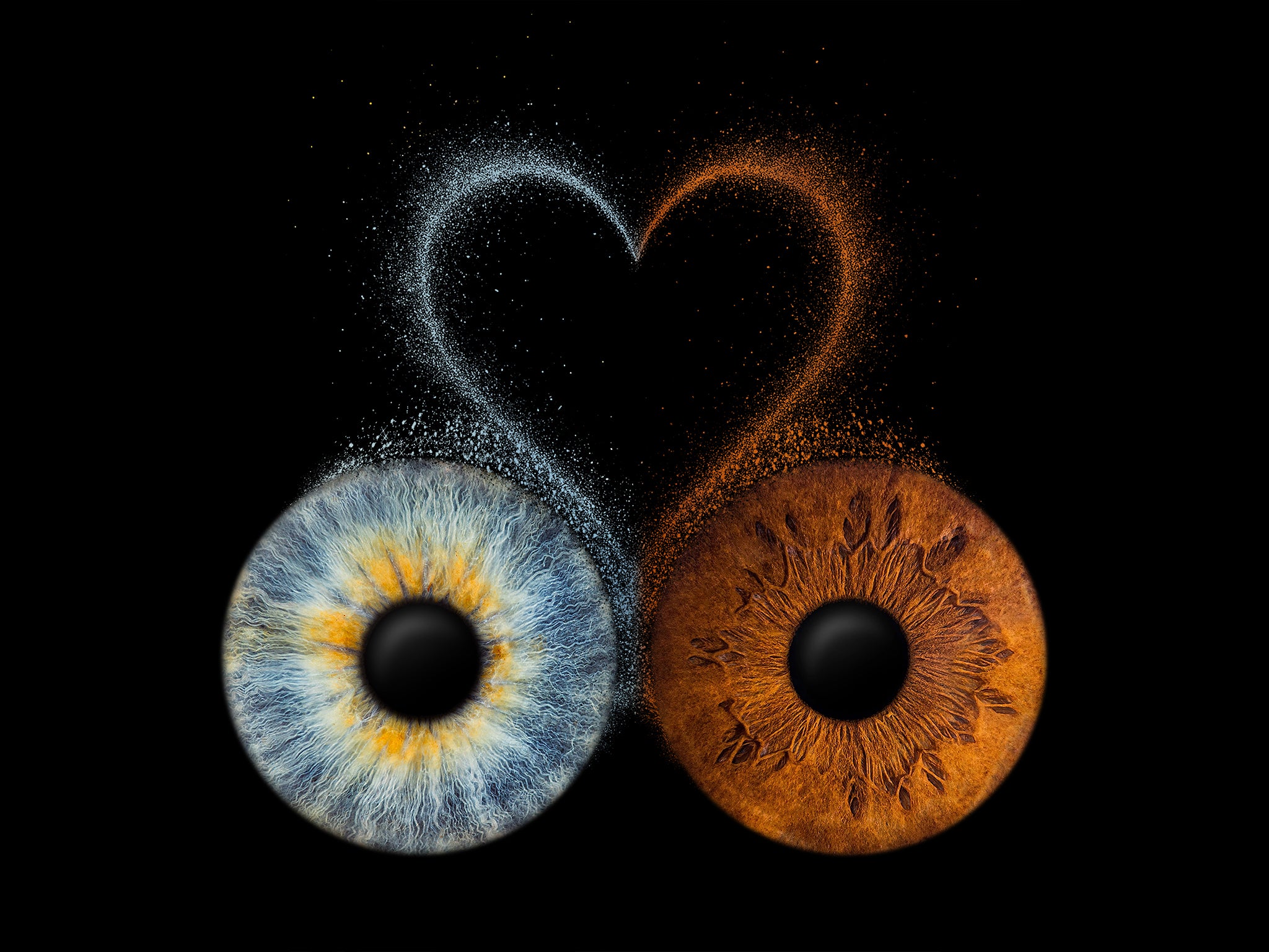 EYEPIXX Wandbild Love mit zwei Iriden als Motiv
