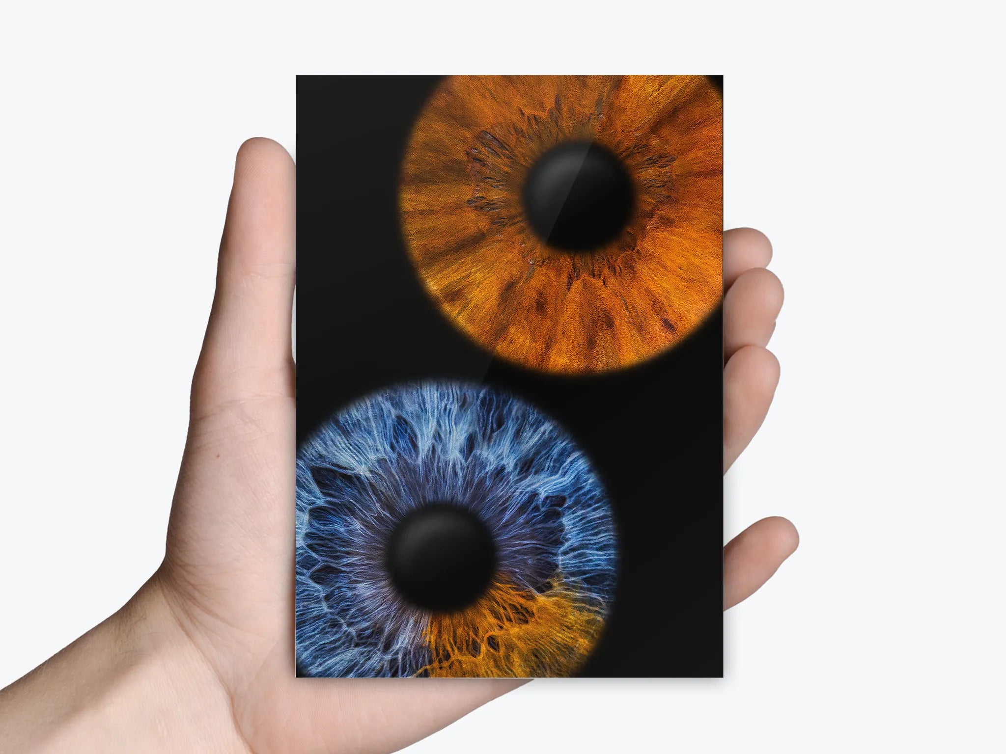 Doppelfoto einer Irisfotografie als Abzug