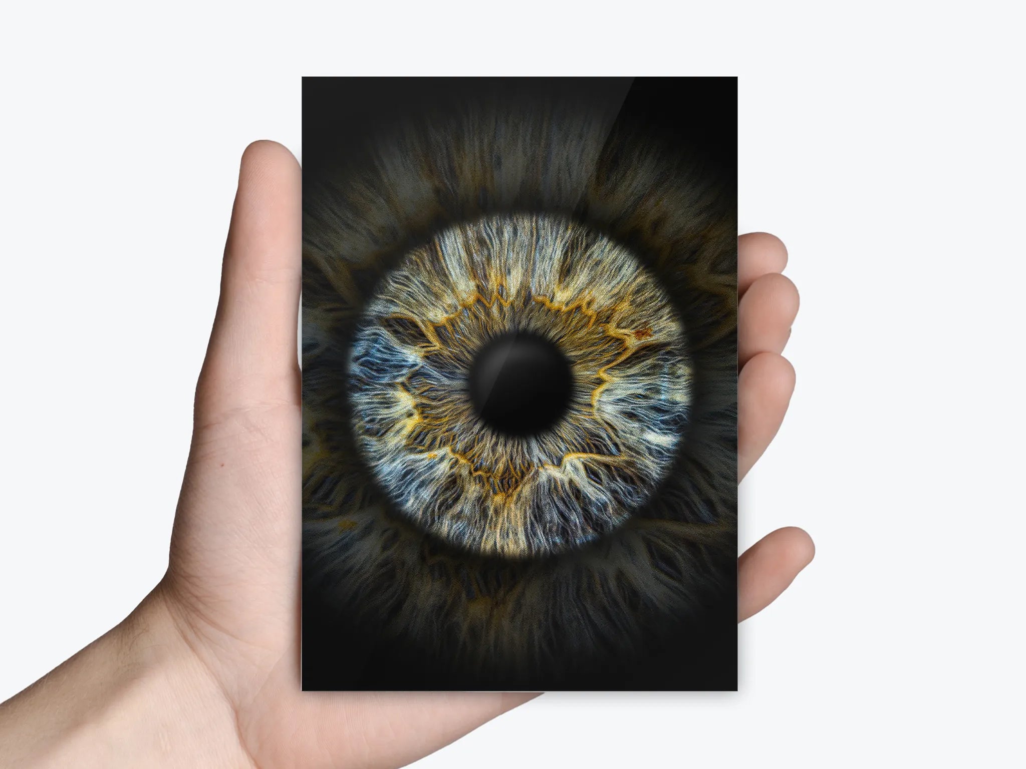 Einzelfoto als Abzug | Gutschein Iris-Fotografie - EYEPIXX Iris-Fotografie