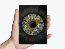 Einzelfoto als Abzug | Gutschein Iris-Fotografie