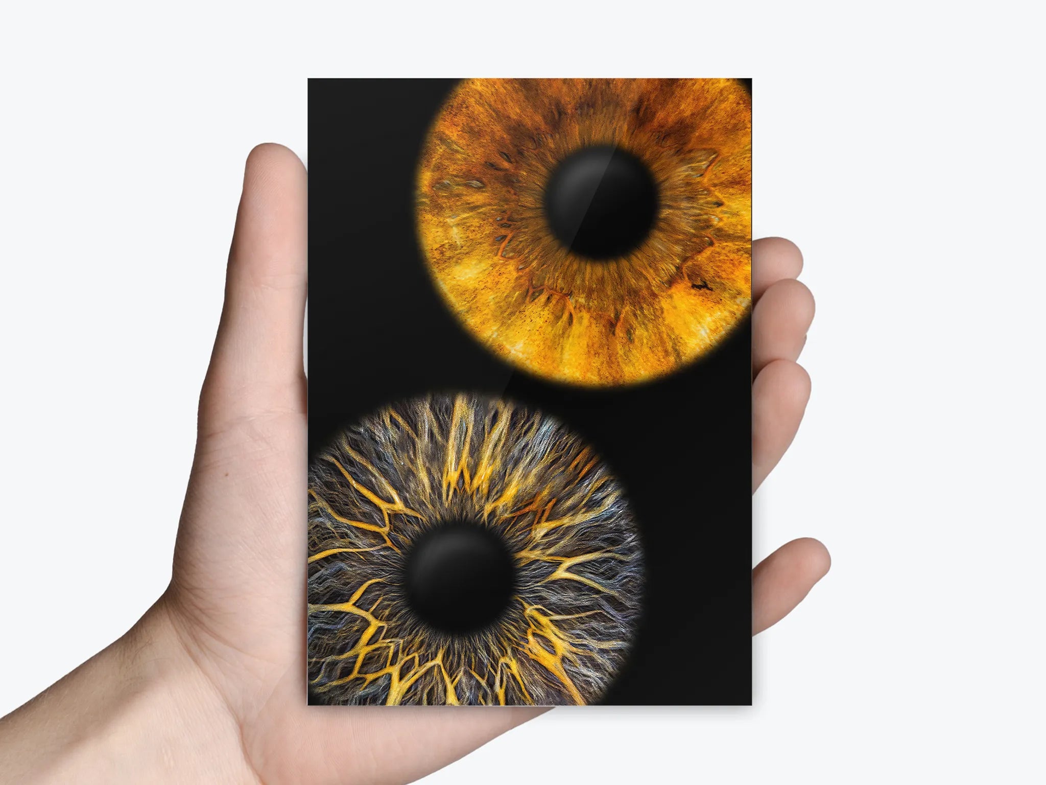 Doppelfoto im Kleinformat mit Irisfotografien als Motiv