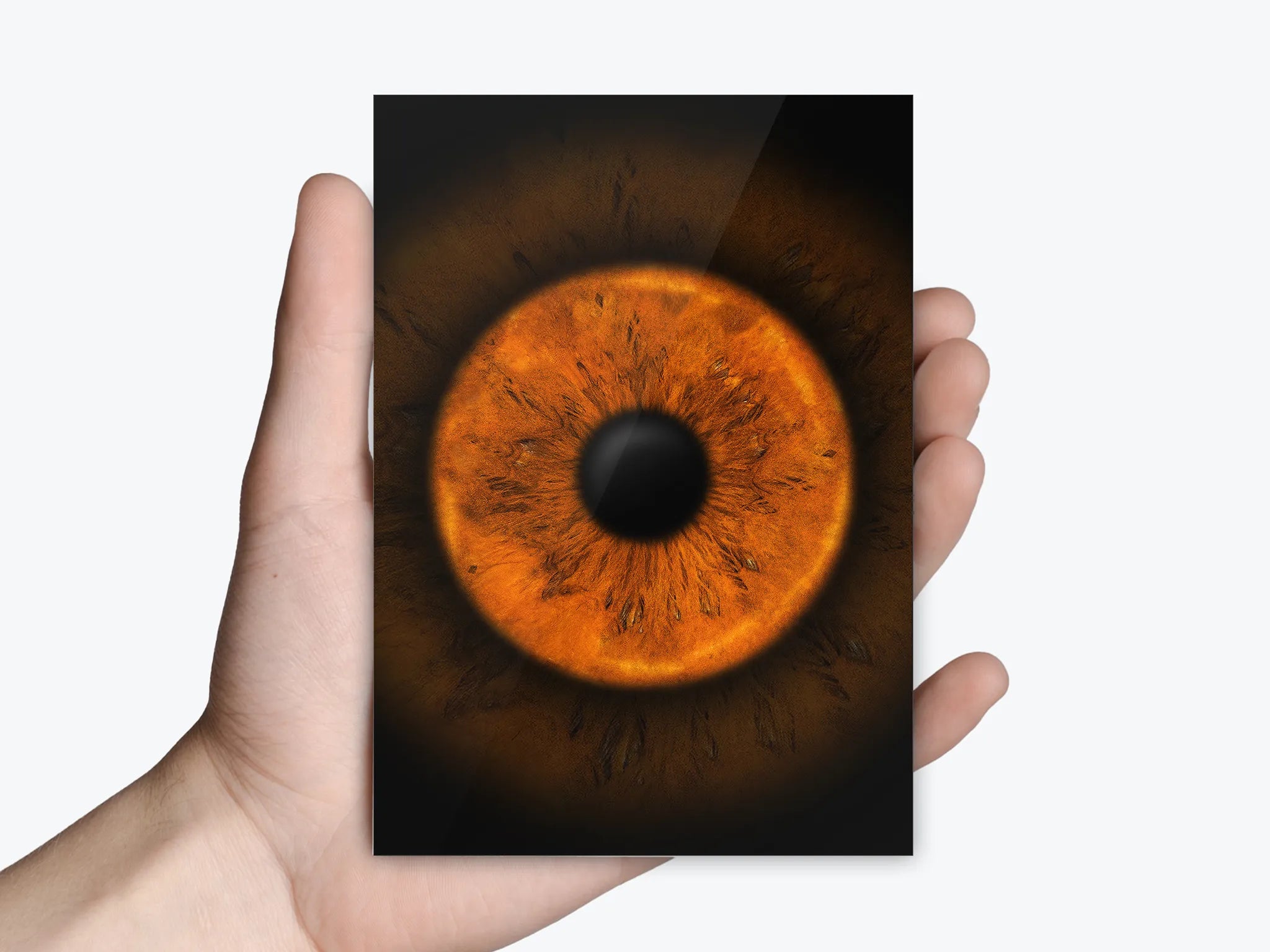 Irisfotografie als Einzelfoto im Postkartenformat
