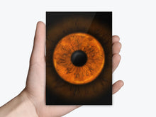 Einzelfoto als Abzug | Gutschein Iris-Fotografie