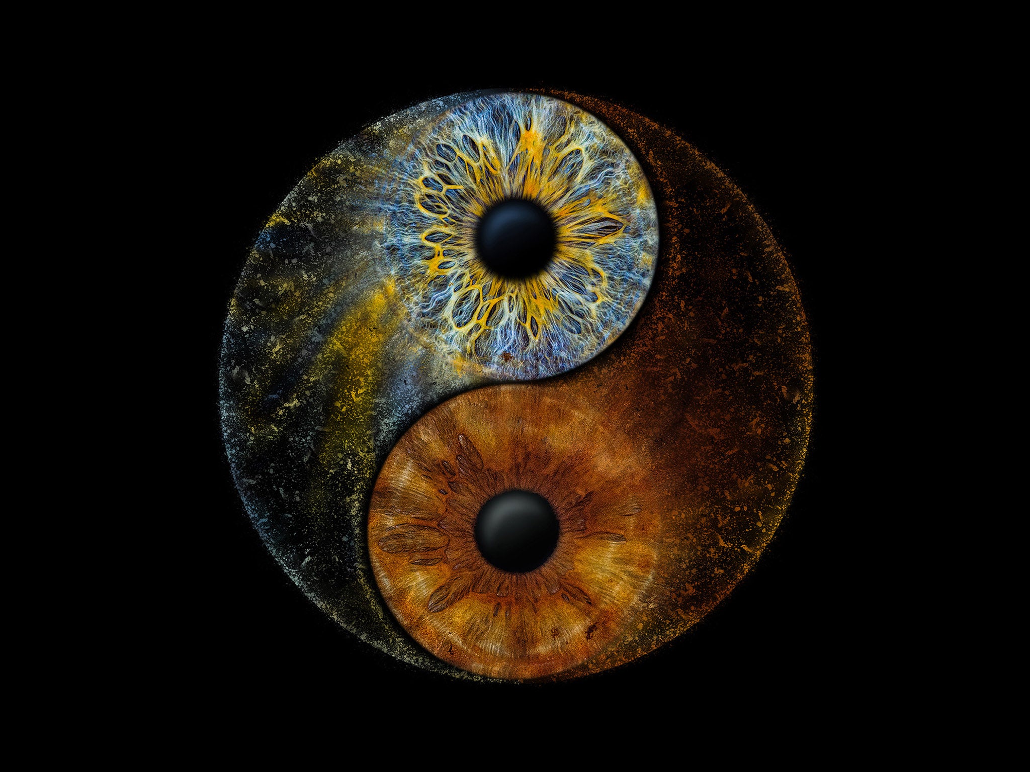 Zwei Iriden als YinYang Symbol angeordnet