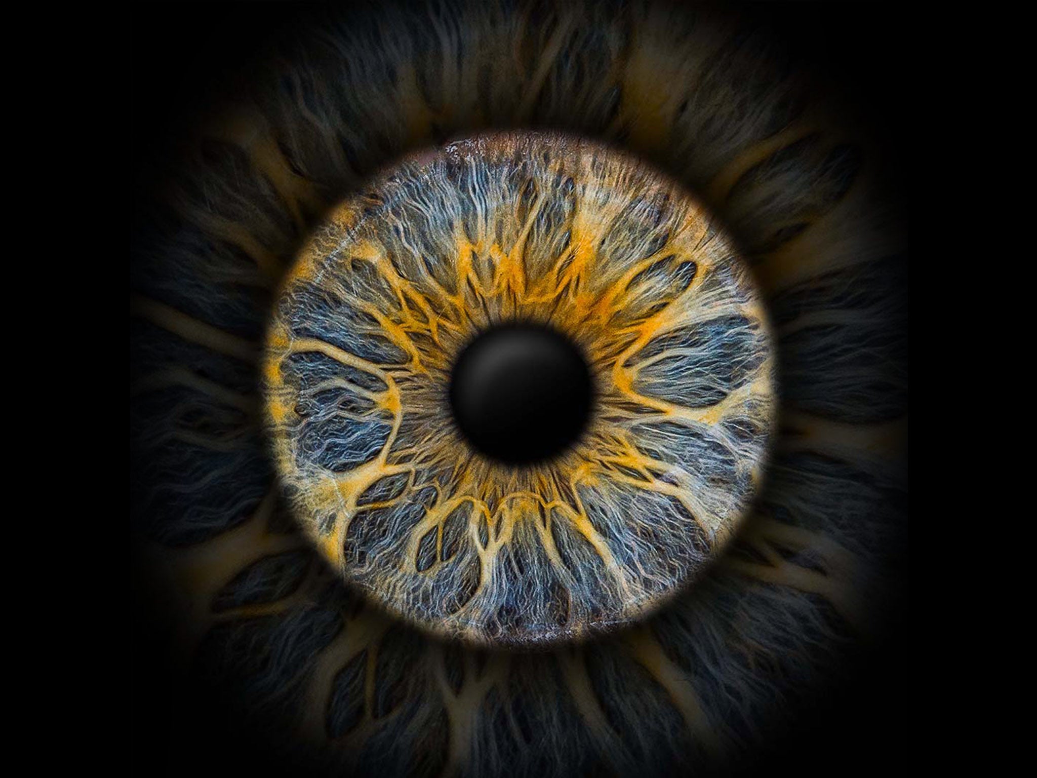 Irisfoto als Einzelbild mit Schein