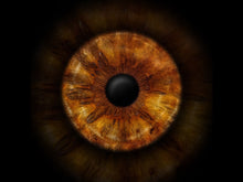 Einzelfoto Wandbild | Gutschein EYEPIXX Iris-Fotografie