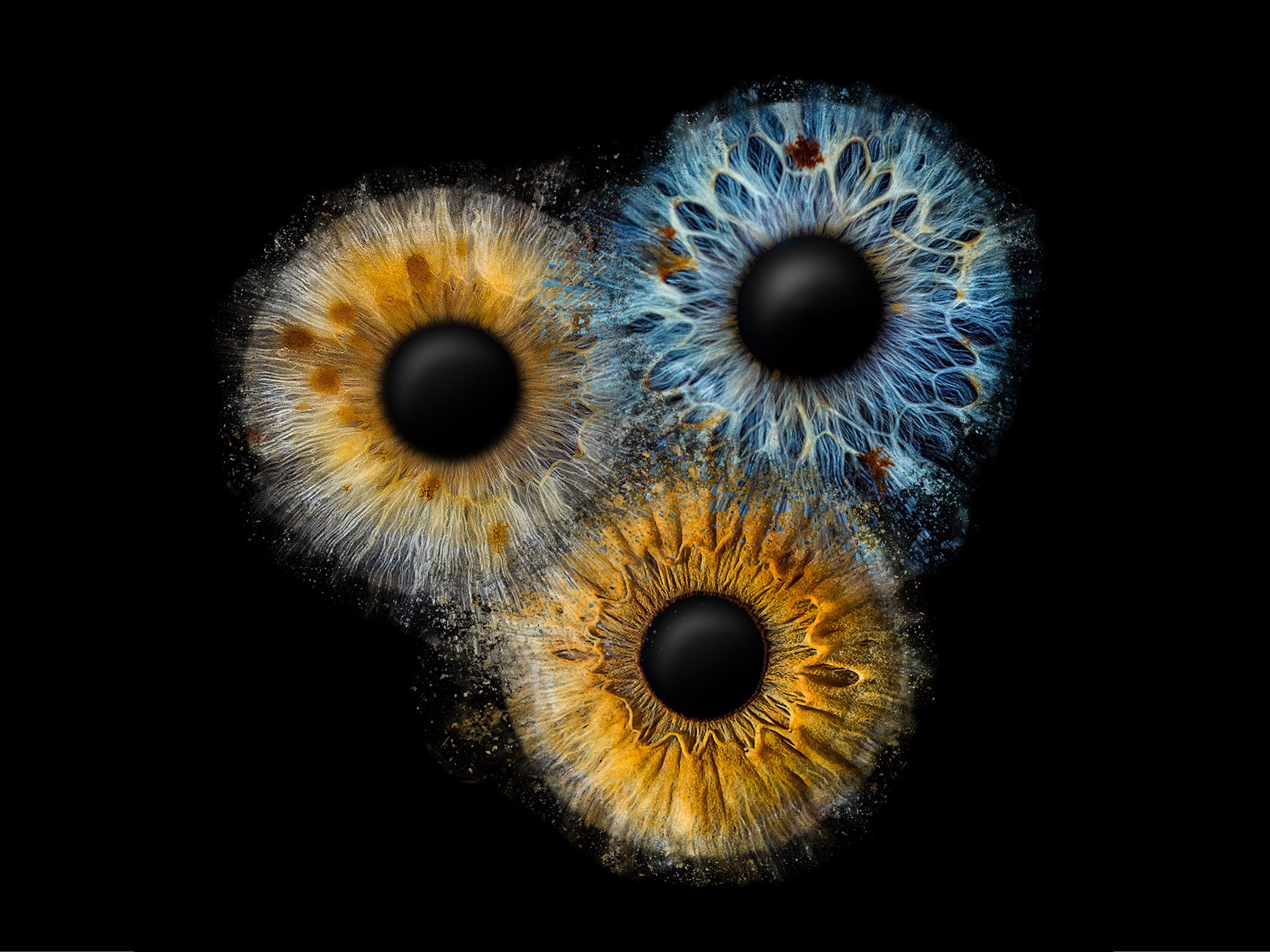 Fusion 3 Wandbild | Gutschein EYEPIXX Iris-Fotografie - EYEPIXX Iris-Fotografie