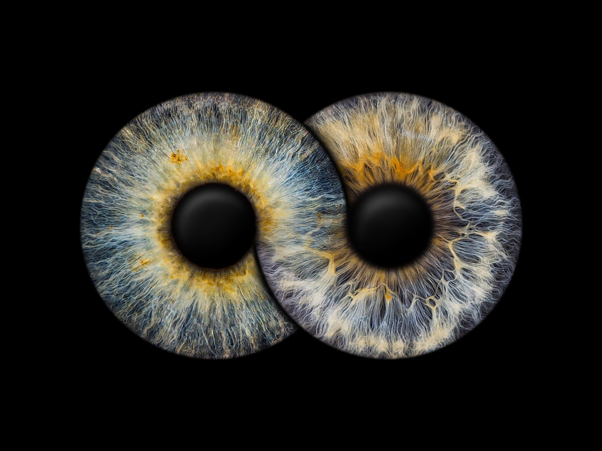 Irisfotografie als Infinity Motiv