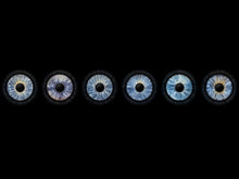 Familie 6 Wandbild | Gutschein EYEPIXX Irisfotografie