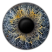 EYEPIXX Iris-Fotografie Gutscheine logo