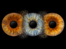 Fusion 3 Panorama | Gutschein EYEPIXX Irisfotografie