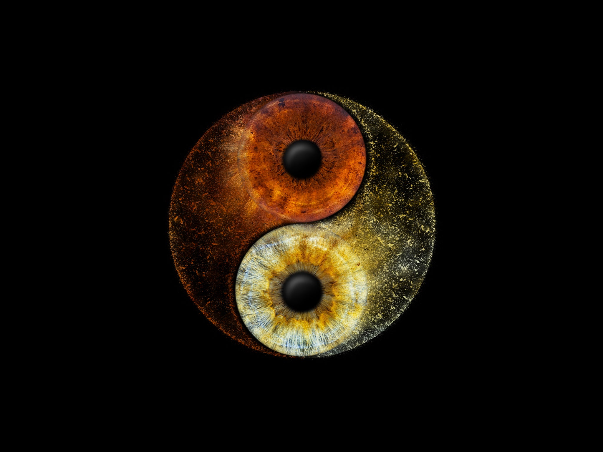 Zwei Iriden als YinYang Motiv angeordnet